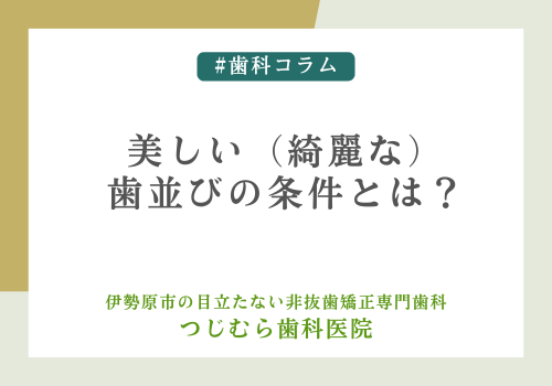 美しい（綺麗な）歯並びの条件とは？