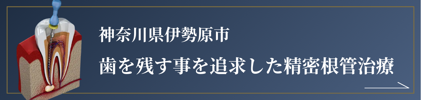 神奈川県伊勢原市の歯を残す事を追求した精密根管治療｜つじむら歯科医院 伊勢原
